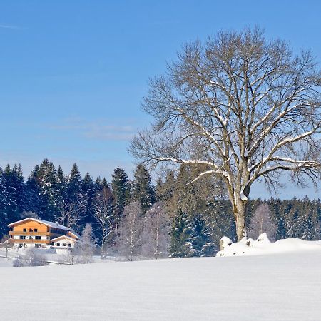 Landhotel Moorhof Neuschönau Kültér fotó