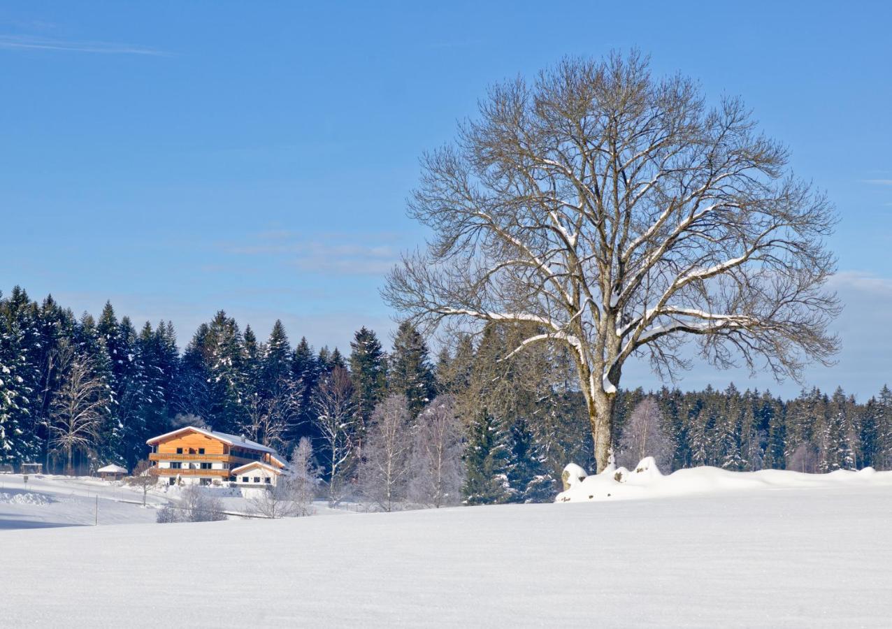 Landhotel Moorhof Neuschönau Kültér fotó